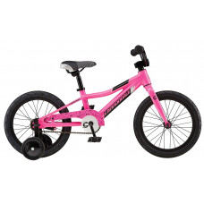 Bicycle Formula Pink