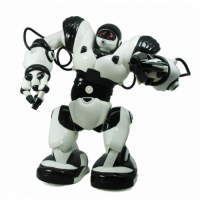 Radio Control Robot