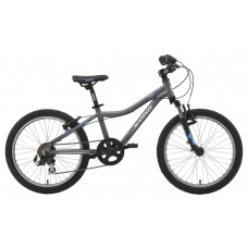 Bicycle Formula Grey